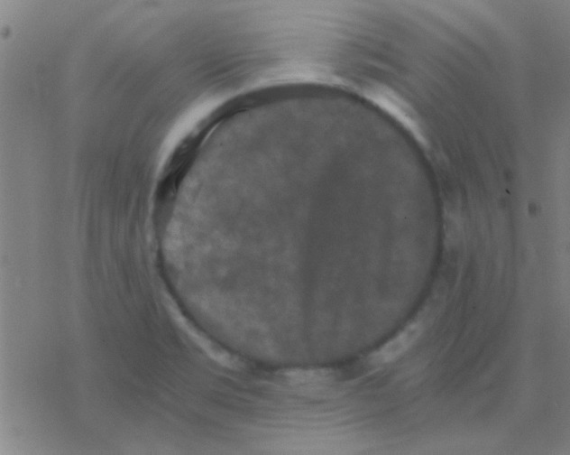 X0000076451469200610271812