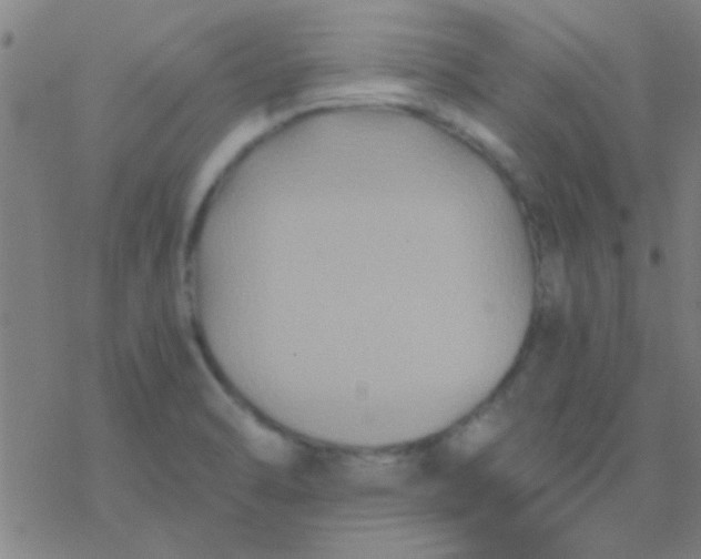 X0000076451470200610271811