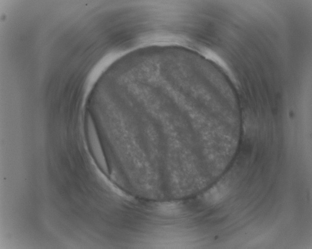 X0000076451472200610271811