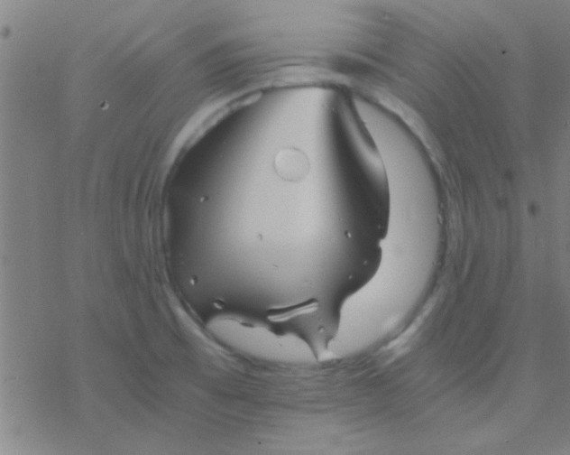 X0000076451473200610271811