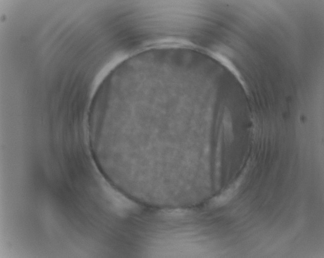 X0000076451474200610271811