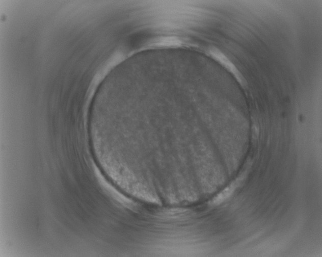 X0000076451475200610271811