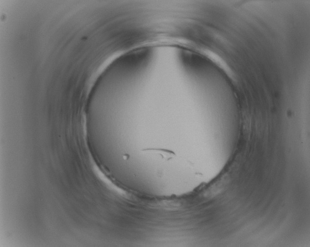 X0000076451476200610271811