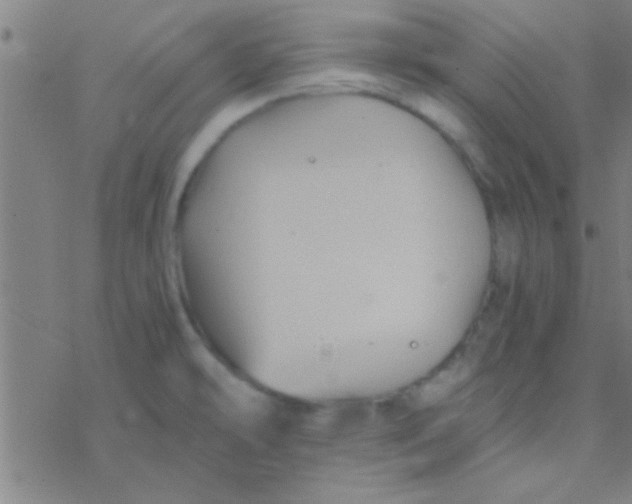 X0000076451478200610271811