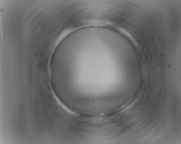 X0000076451479200610271811