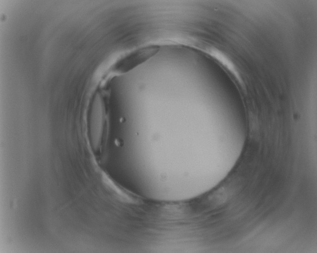 X0000076451480200610271811