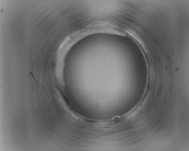 X0000076451481200610271811