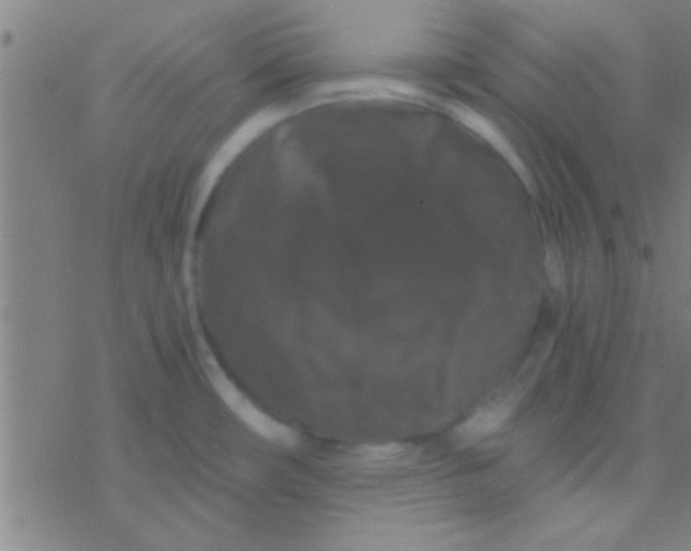 X0000076451482200610271811