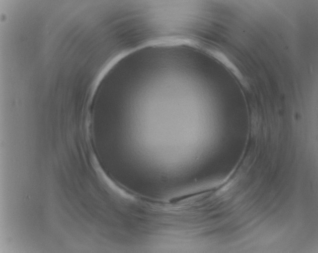 X0000076451484200610271811