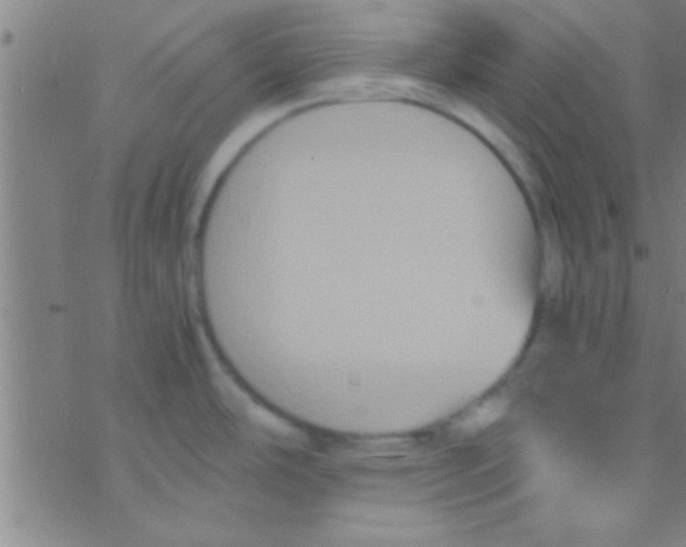 X0000076451486200610271811