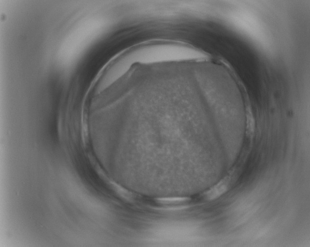 X0000076451487200610271811