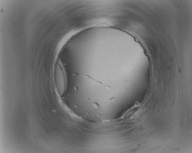 X0000076451488200610271811