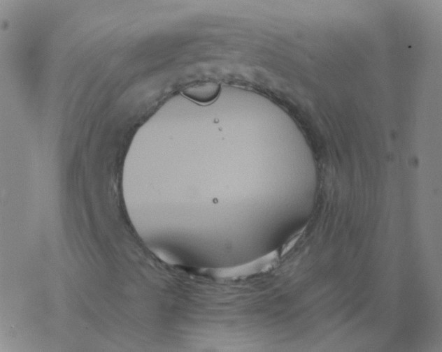 X0000076451489200610271810