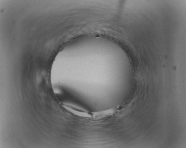 X0000076451490200610271810