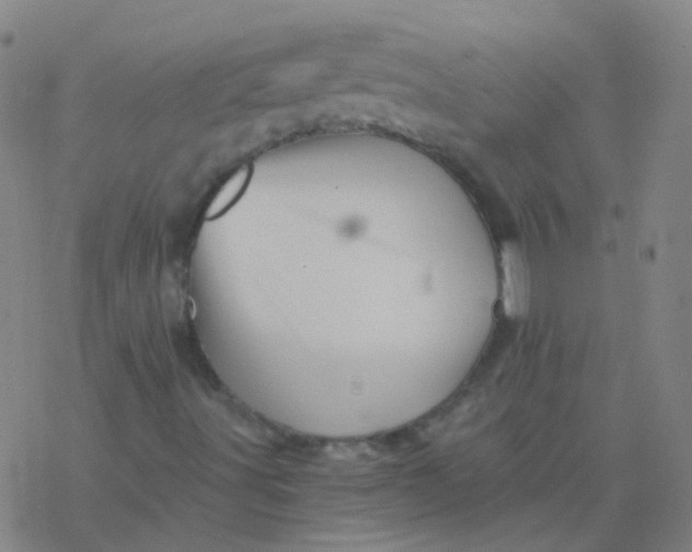 X0000076451491200610271810