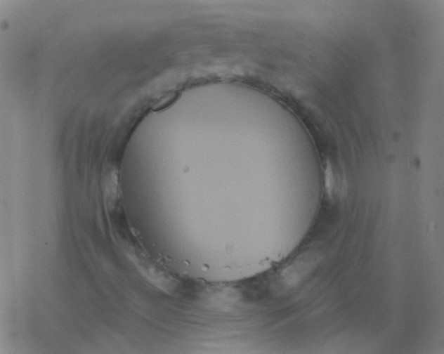 X0000076451492200610271810