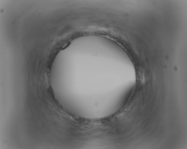 X0000076451493200610271810