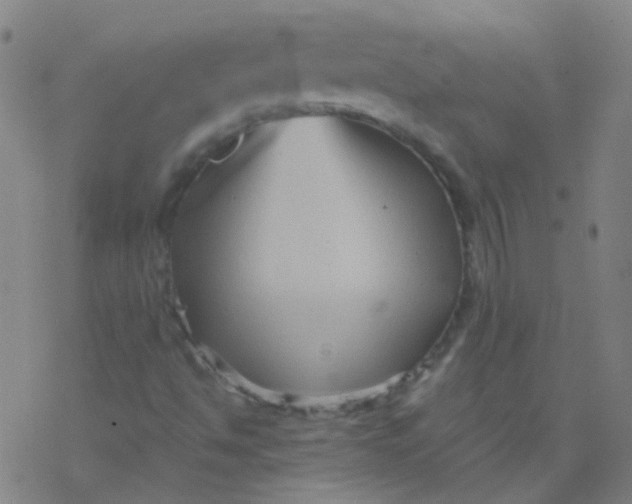 X0000076451494200610271810