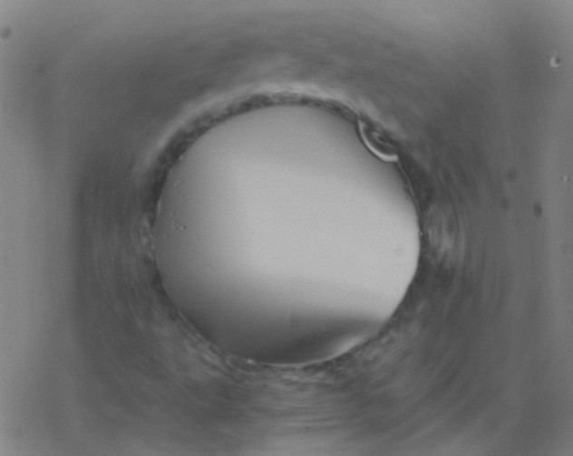 X0000076451495200610271811