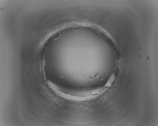 X0000076451496200610271811