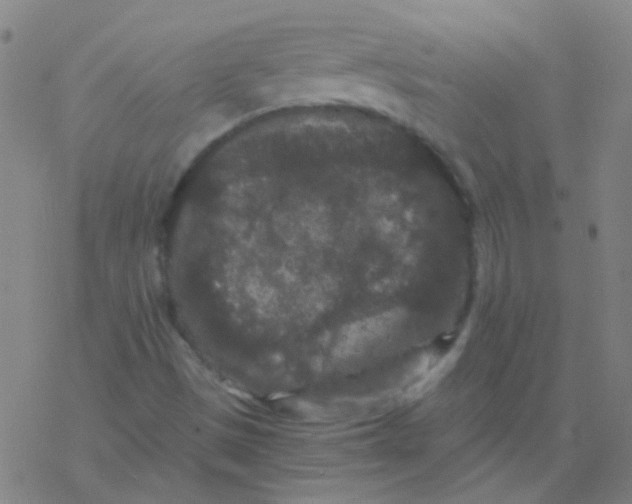 X0000076451497200610271811