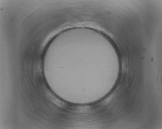 X0000076451498200610271811