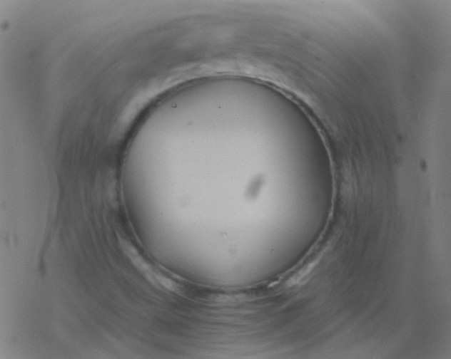 X0000076451499200610271811