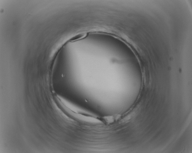 X0000076451500200610271811