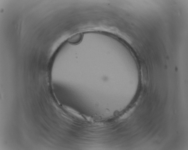 X0000076451501200610271811