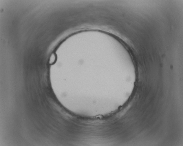 X0000076451502200610271811