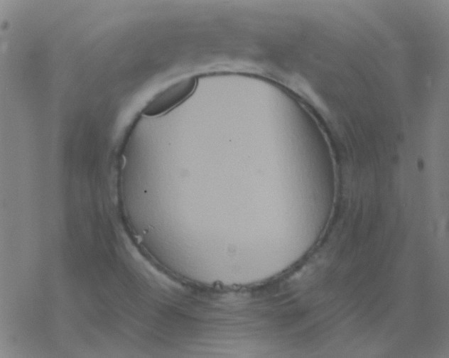 X0000076451504200610271811