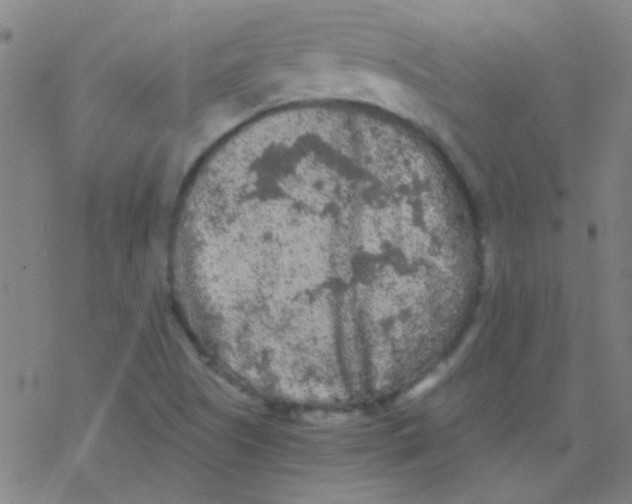 X0000076451505200610271811