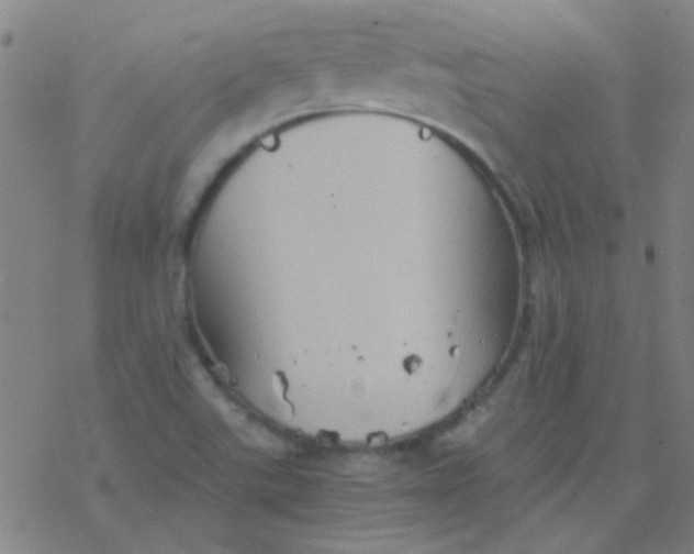 X0000076451507200610271811