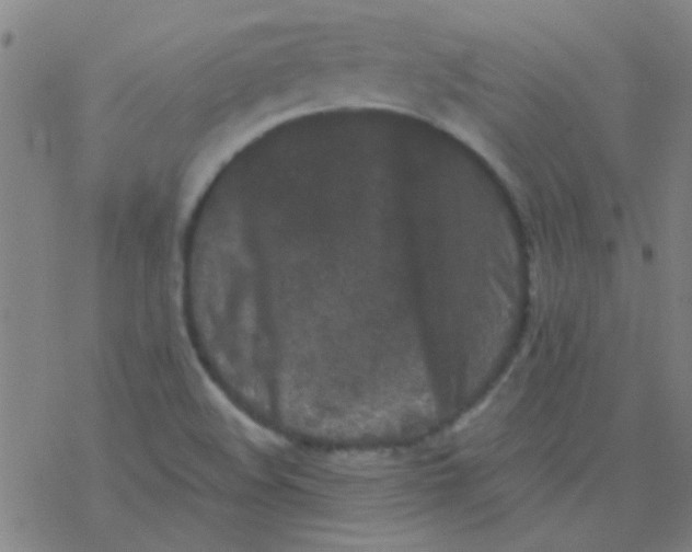 X0000076451508200610271811