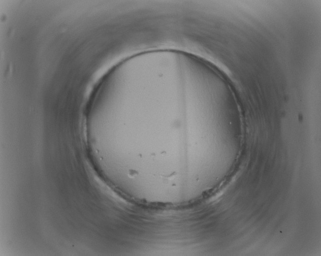 X0000076451510200610271811