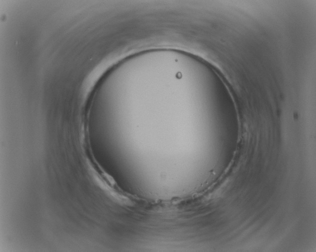 X0000076451511200610271811