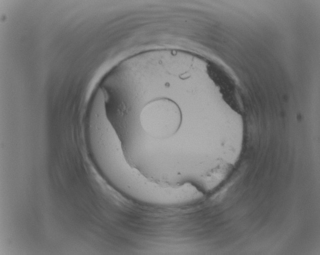 X0000076451514200610271811