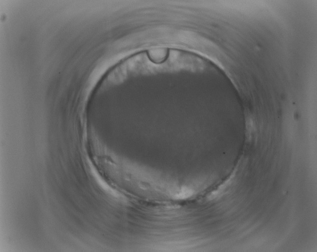 X0000076451515200610271811