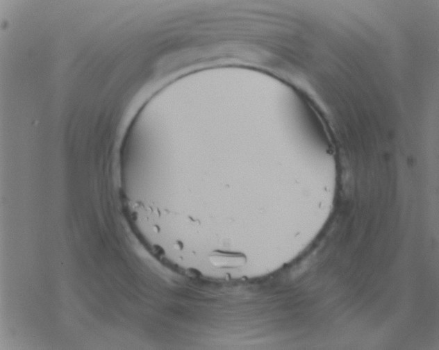 X0000076451516200610271811