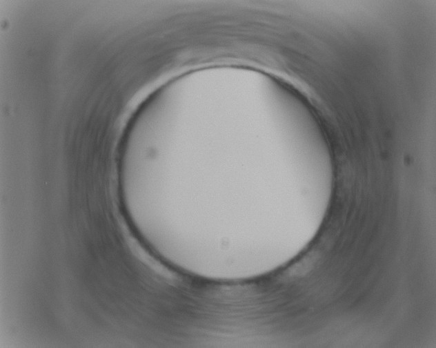 X0000076451518200610271811