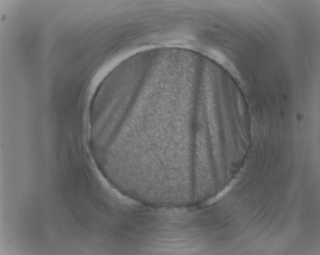 X0000076451520200610271811