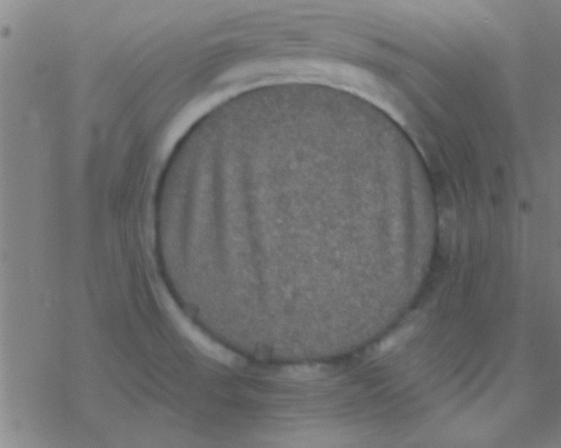 X0000076451523200610271811