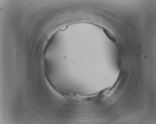 X0000076451526200610271811