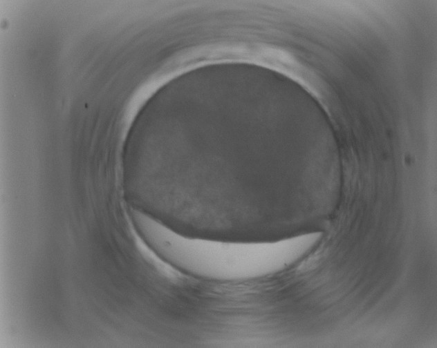 X0000076451527200610271811