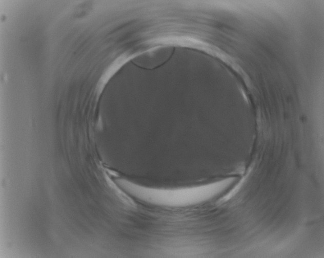 X0000076451529200610271811