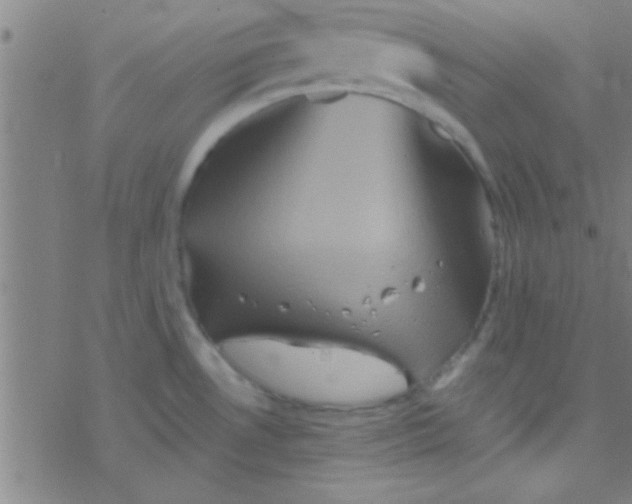 X0000076451530200610271811