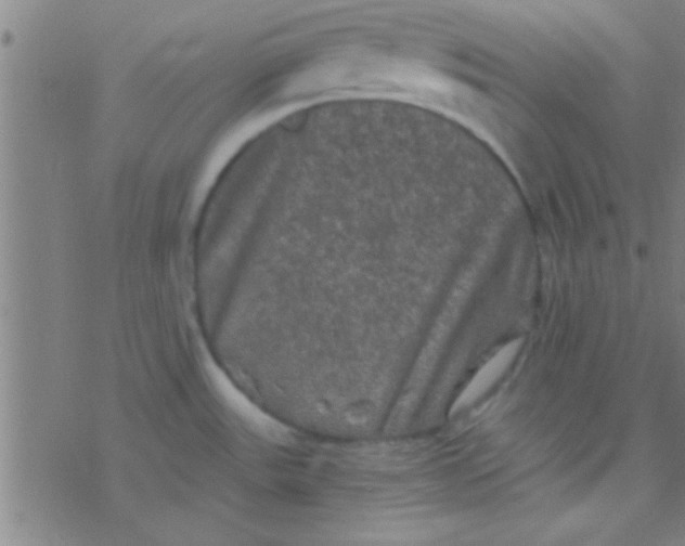 X0000076451531200610271811