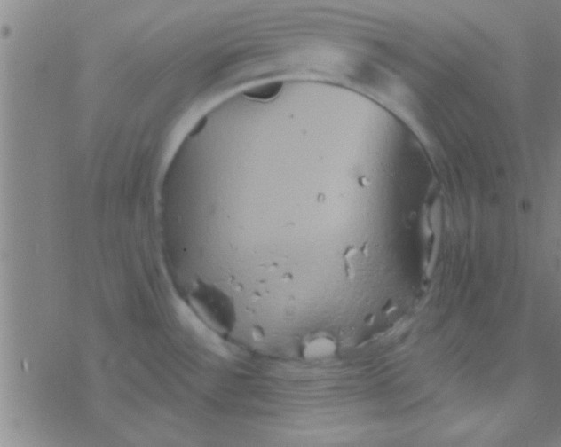 X0000076451532200610271811