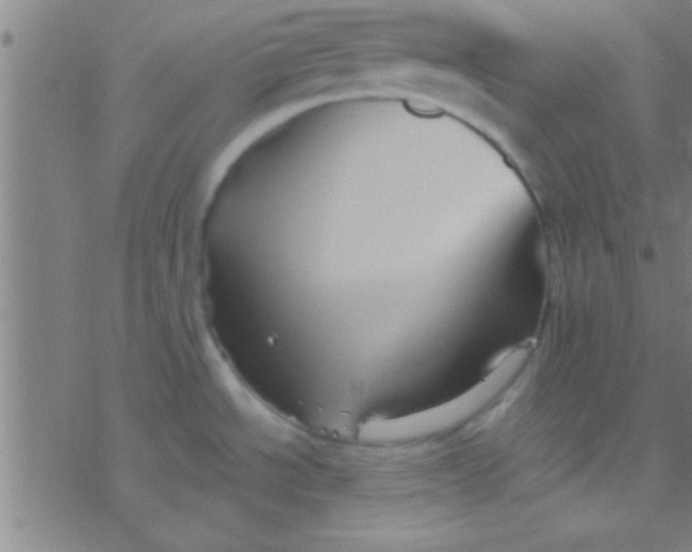 X0000076451534200610271811