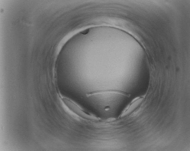 X0000076451535200610271811